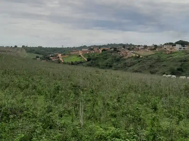 Terreno! A 1 km da cidade de Boa Esperança ES, topografia excelente, ótima localização. Terreno medindo 7.5 alqueires, localizado no Córrego Boa Mira.